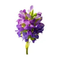 Plant-derived retinol has all the anti-ageing benefits of retinol with zero irritation or sensitivity.
